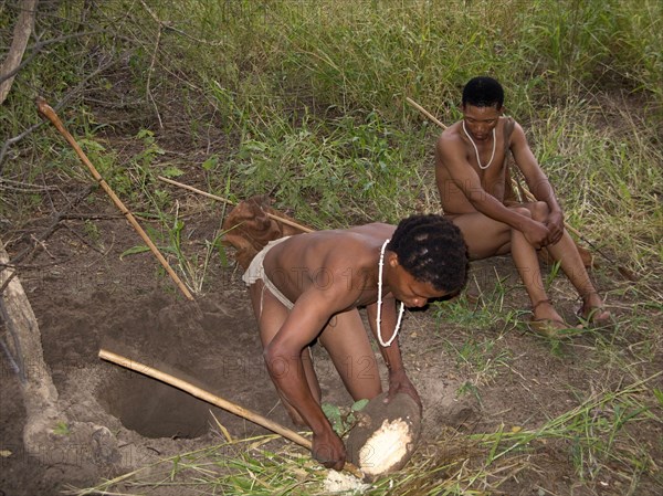 The Bushmen are the oldest inhabitants of southern Africa