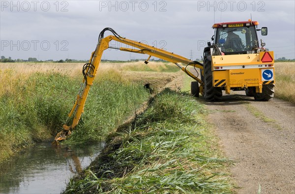 Tractor with boom arm clearing reeds from overgrown embankment