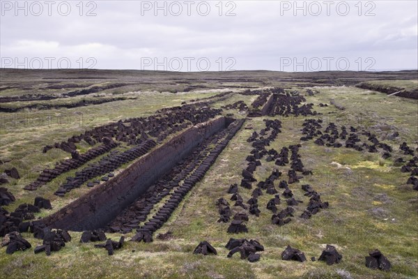Peat cuttings
