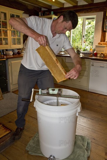 The honeycomb frames are placed in a centrifugal drum and then spun at high speed to separate the honey from the combs