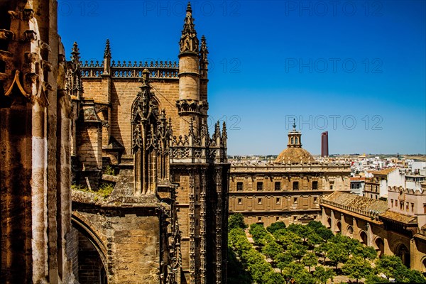 View from the Giralda to the Cathedral with the Orangnenhof