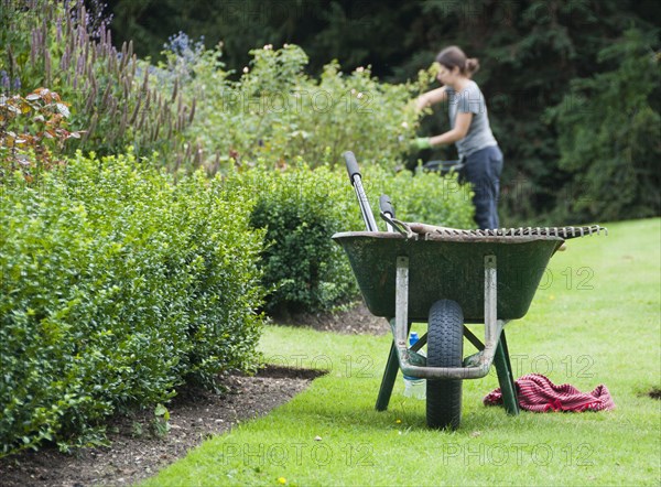 Wheelbarrow on lawn at edge of borders