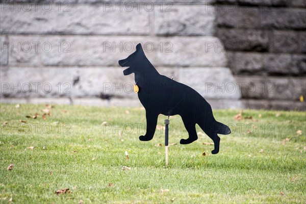 Whirling dog Scarecrow used to scare birds away from a grass lawn