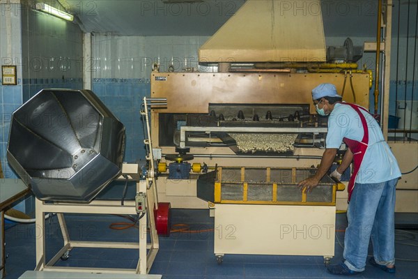 Cashew nut factory