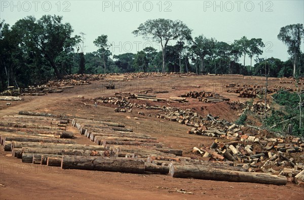 Destruction of tropical moist forests