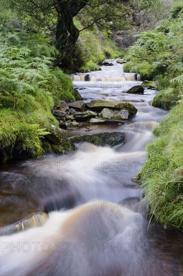 View of the Cascade Stream