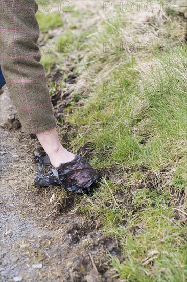 Owner picks up dog excrement with plastic bag