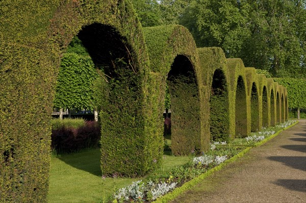 Topiary archways in public park garden