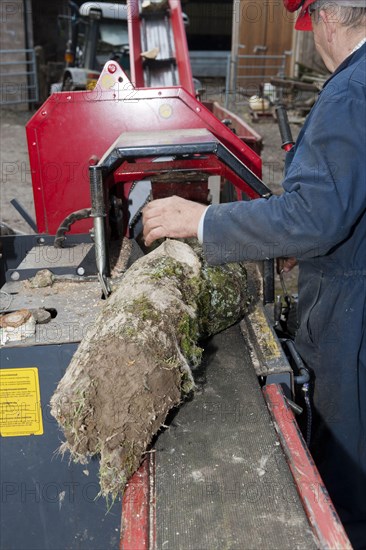 Forestry workers loading timber onto the logging and splitting bench