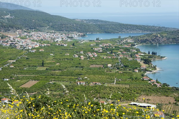 View of Ancient Epidaurus