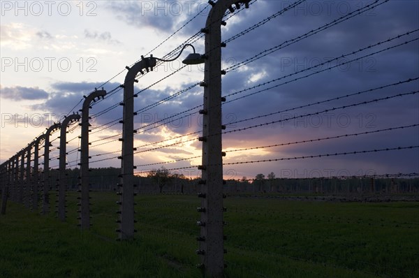 Barbed wire fence at sunset