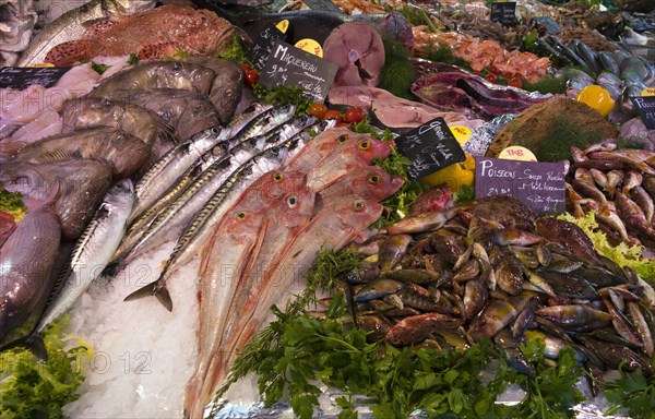 Fresh fish and seafood