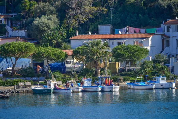 Fishing boats