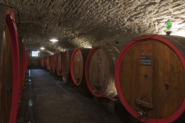 Barrels of Chianti red wine