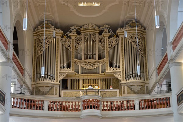 Organ