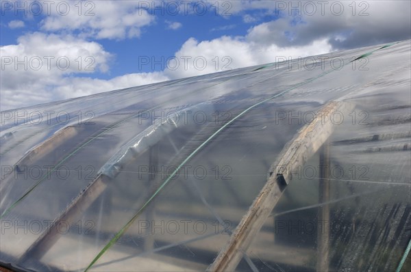 Exterior of a horticultural polytunnel