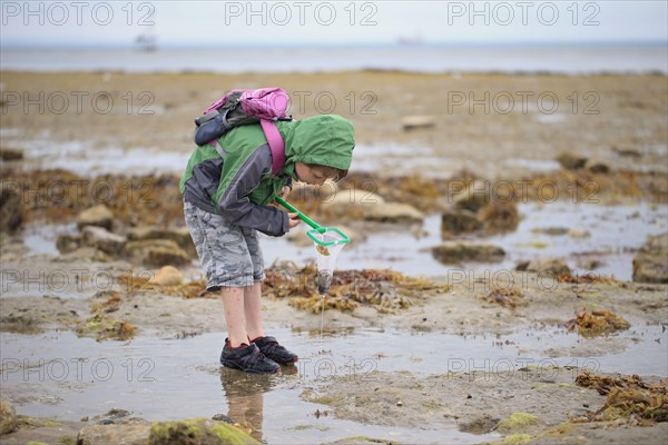 Boy rockpooling with net in coastal rockpools
