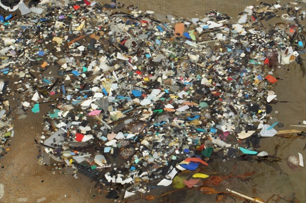 Micro plastics in rockpool