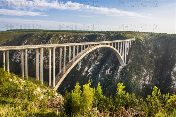 Bloukrans Bridge