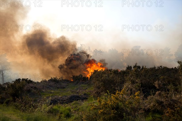 Fire on heathland