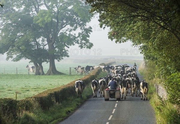 Dairy farming