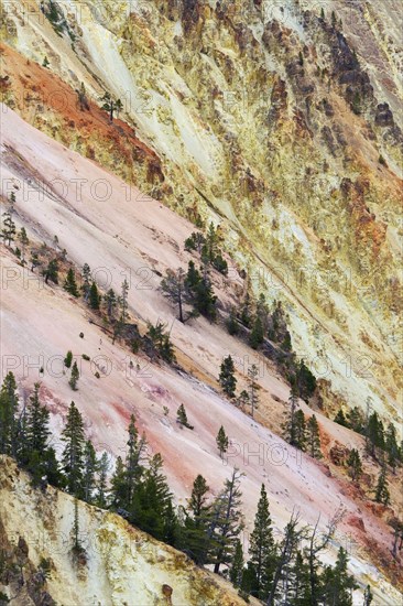 View of canyon slope with oxidising rock