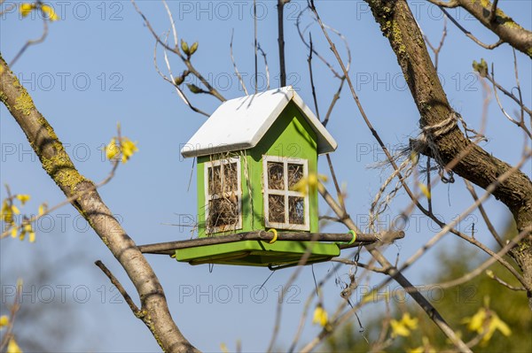 Insect hotel