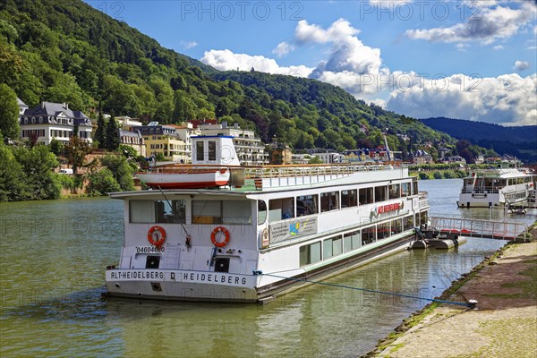 Rhine-Neckar passenger ship Alt Heidelberg