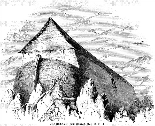 Ark on Ararat