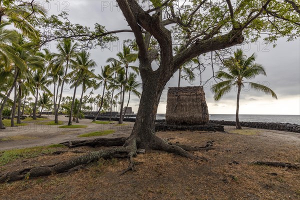 Straw hut in Puuhonua o Honaunau