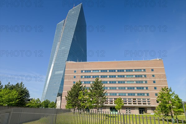 European Central Bank ECB