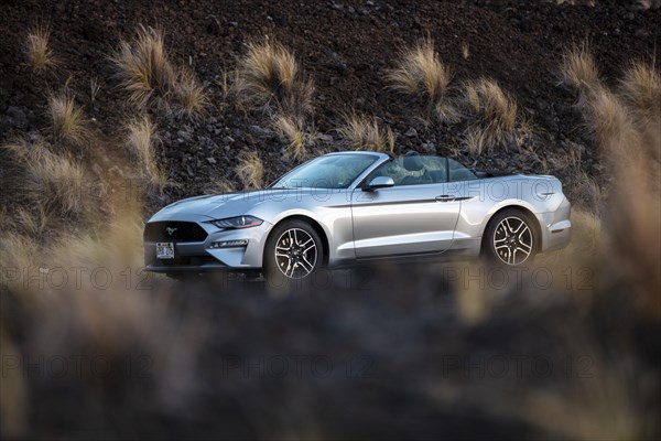 Ford Mustang Convertible