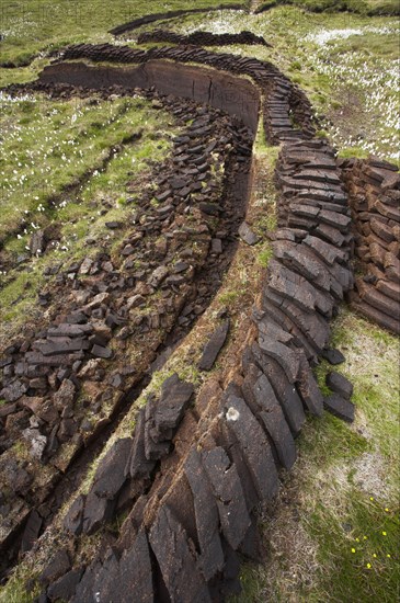 Peat cutting