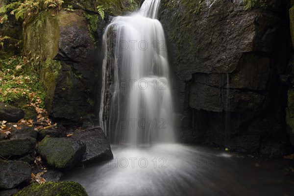 Waterfall in the Gorge