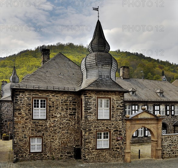 Holtzbrinck Castle