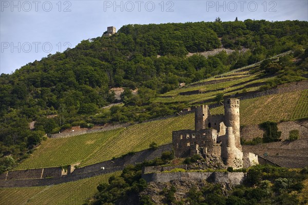 Ehrenfels Castle