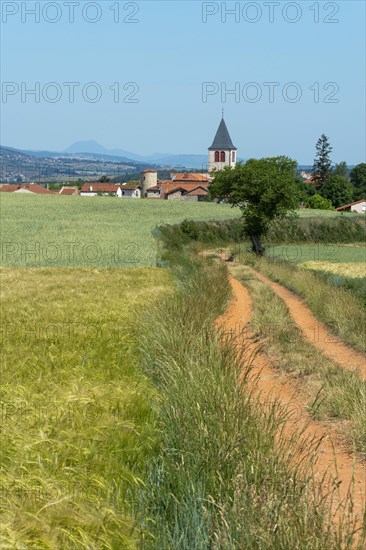 Bournoncle Saint-Pierre village near Brioude city. Haute Loire departement. Auvergne Rhone Alpes. France