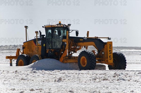 Commercial salt production