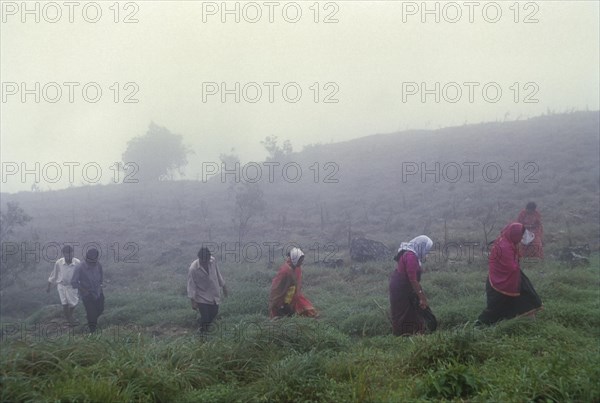 Ponmudi