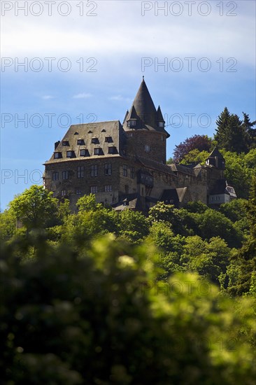 Stahleck Castle