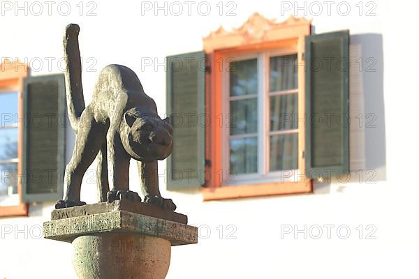 Detail with cat from the Hiddigeigei fountain on the town hall square