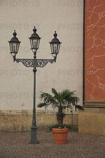 Candelabra and flowerpot with palm tree at the Muensterplatz in Bad Saeckingen