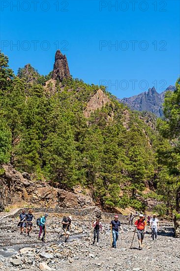 Hikers in front of the landmark rock needle Roque Idafe