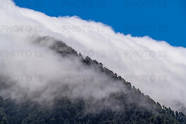 Trade wind clouds streaming over the mountains of Cumbre Nueva