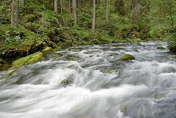 Mountain stream with rapids