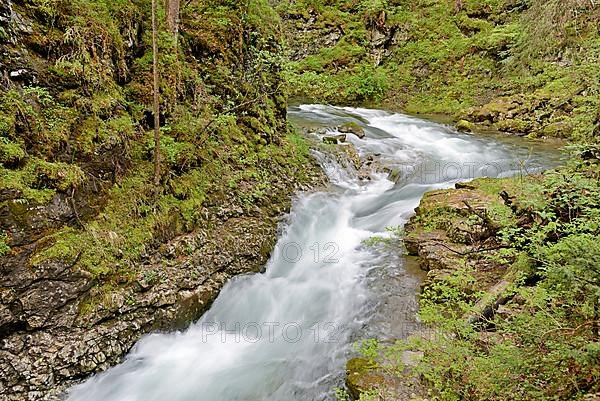 Mountain stream with rapids