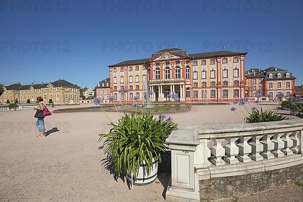 View with ornamental plants and balustrade towards the baroque castle