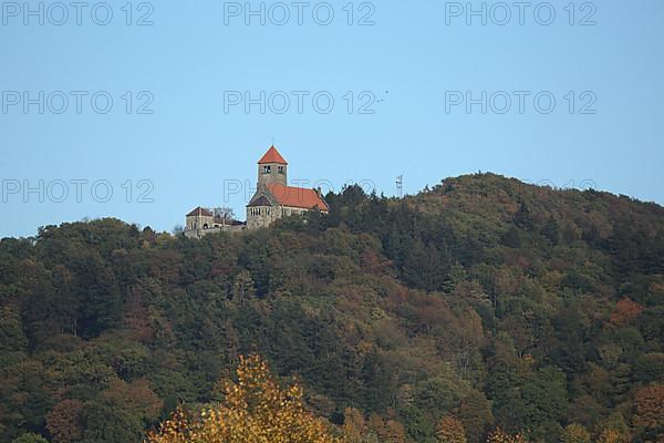 View of Wachenburg Castle in Weinheim