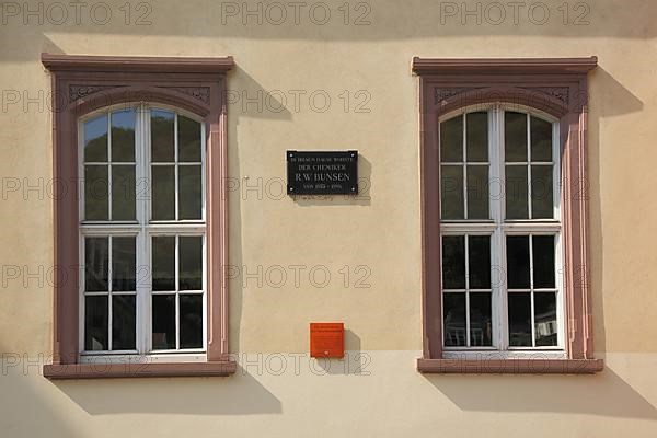 Monument to chemist Robert Wilhelm Bunsen 1811-1899 at the University Institute for German at Friedrich Ebert Platz