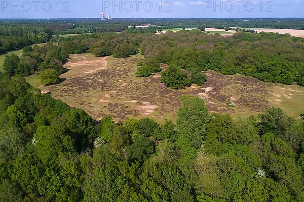 Borkener Paradies nature reserve on the Ems